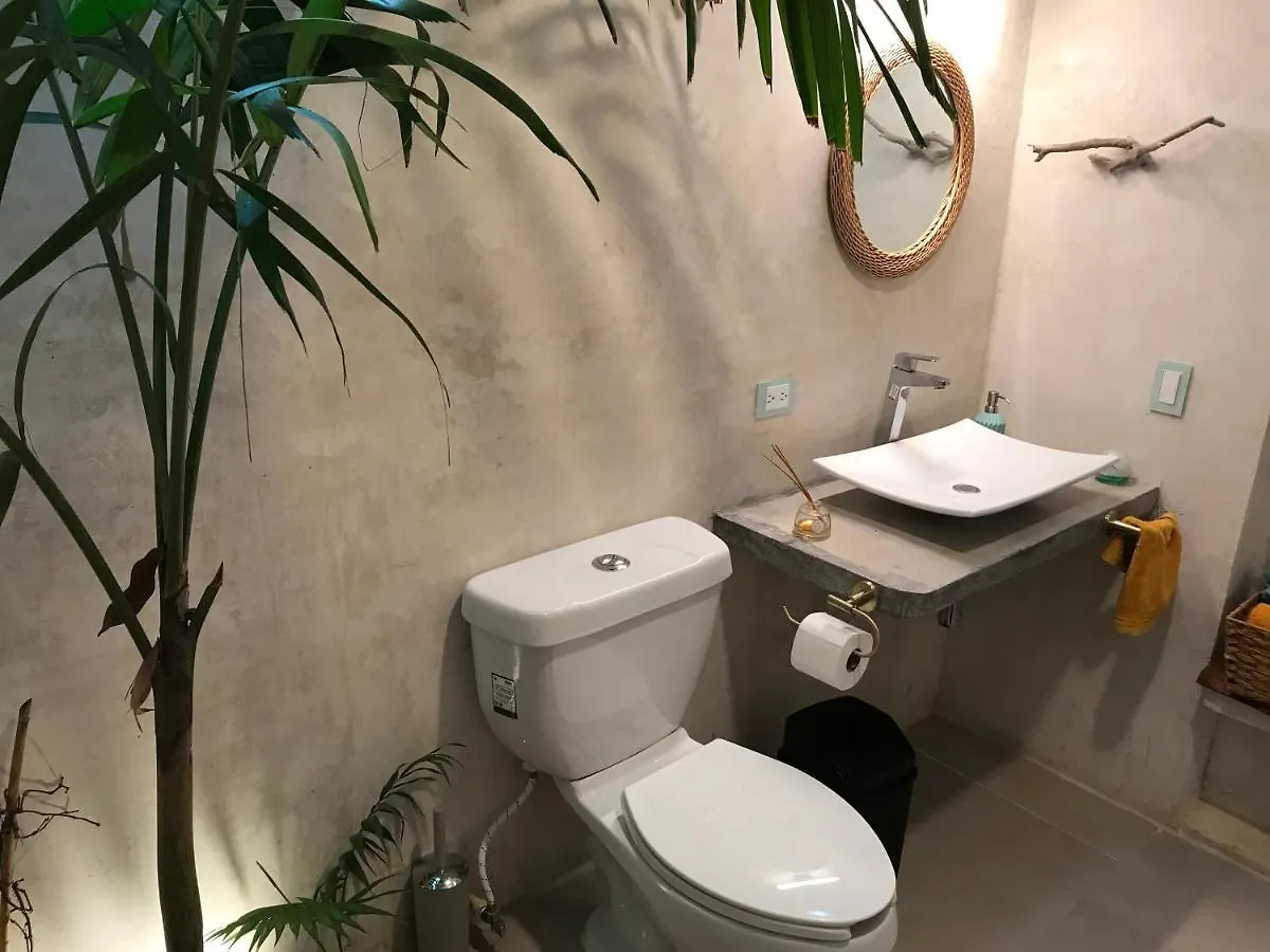 Homestay Tropical Cenote Loft North City 420 Merida