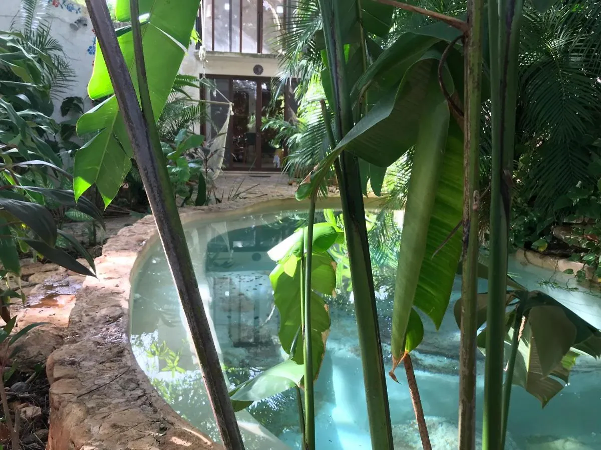 Tropical Cenote Loft North City 420 Merida