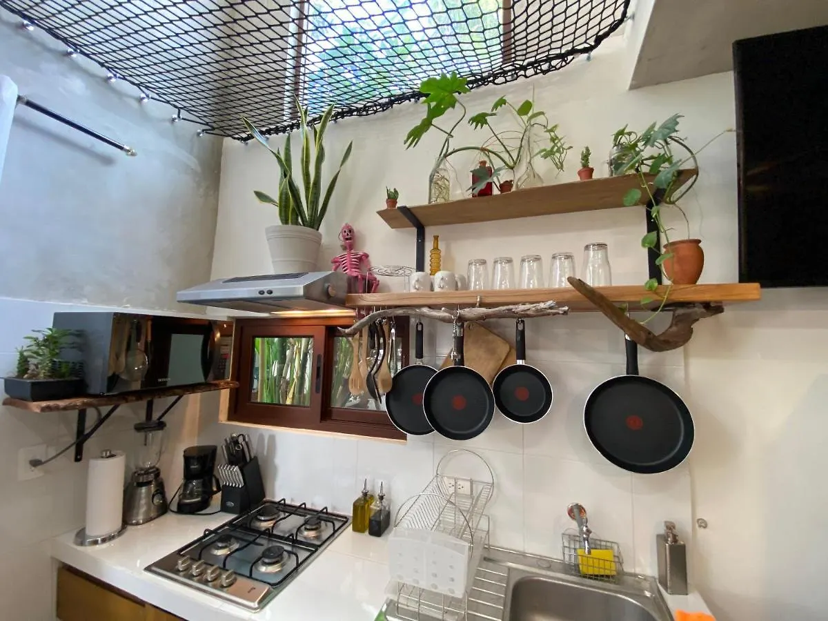 Tropical Cenote Loft North City 420 Merida 0*,  Mexico