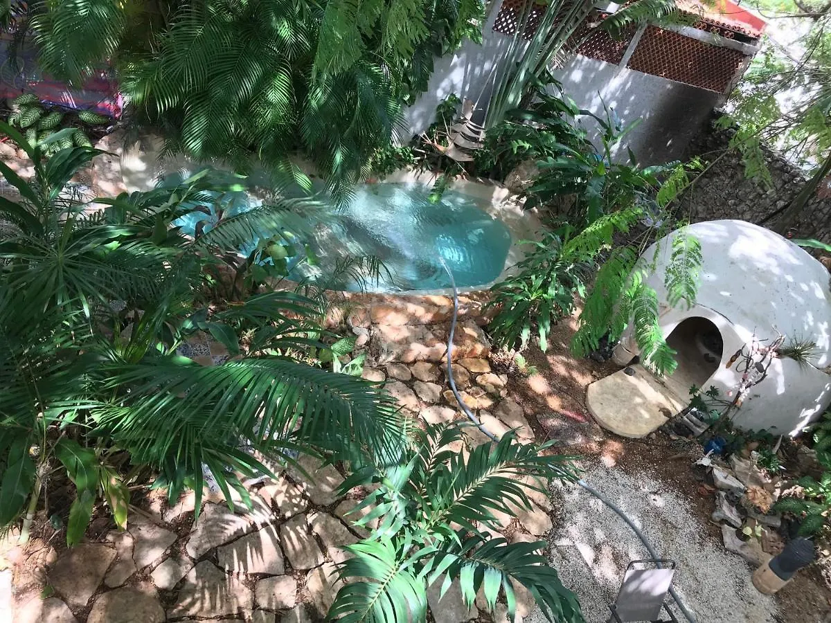 Tropical Cenote Loft North City 420 Merida