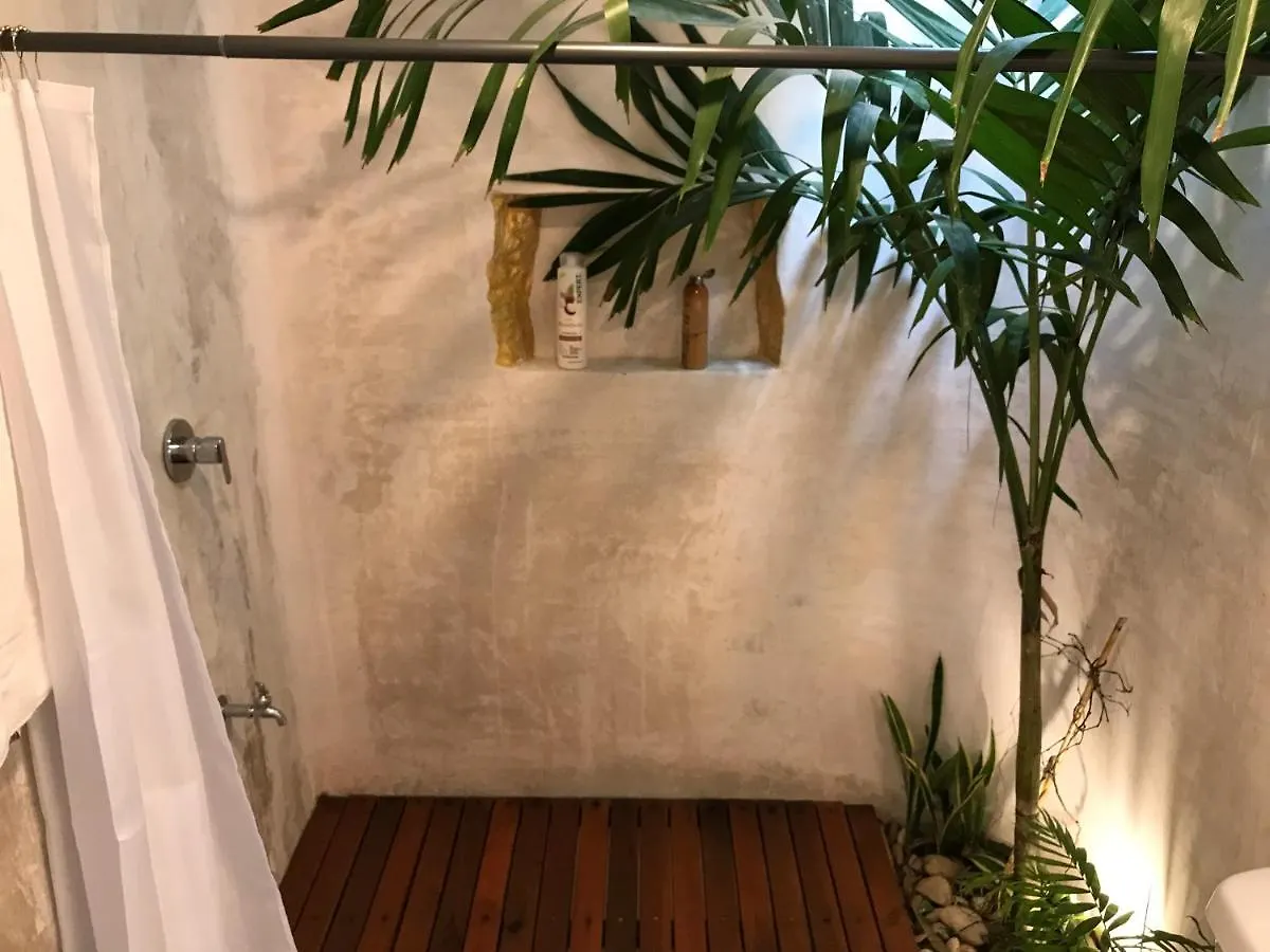 Homestay Tropical Cenote Loft North City 420 Merida