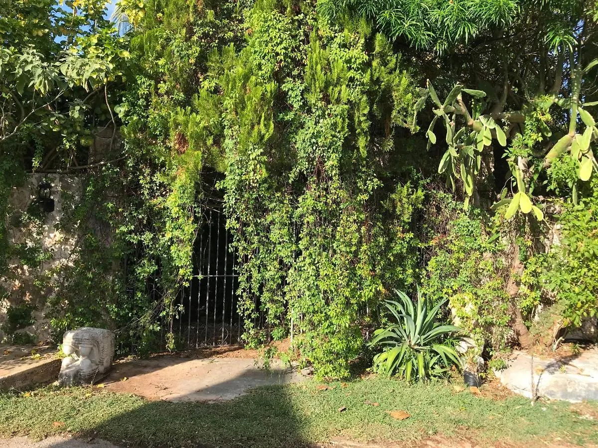 Tropical Cenote Loft North City 420 Merida